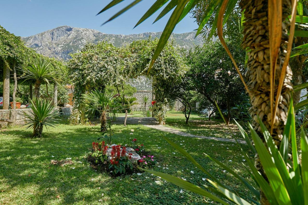 Mediterranean Holiday House & Apartments Котор Екстер'єр фото